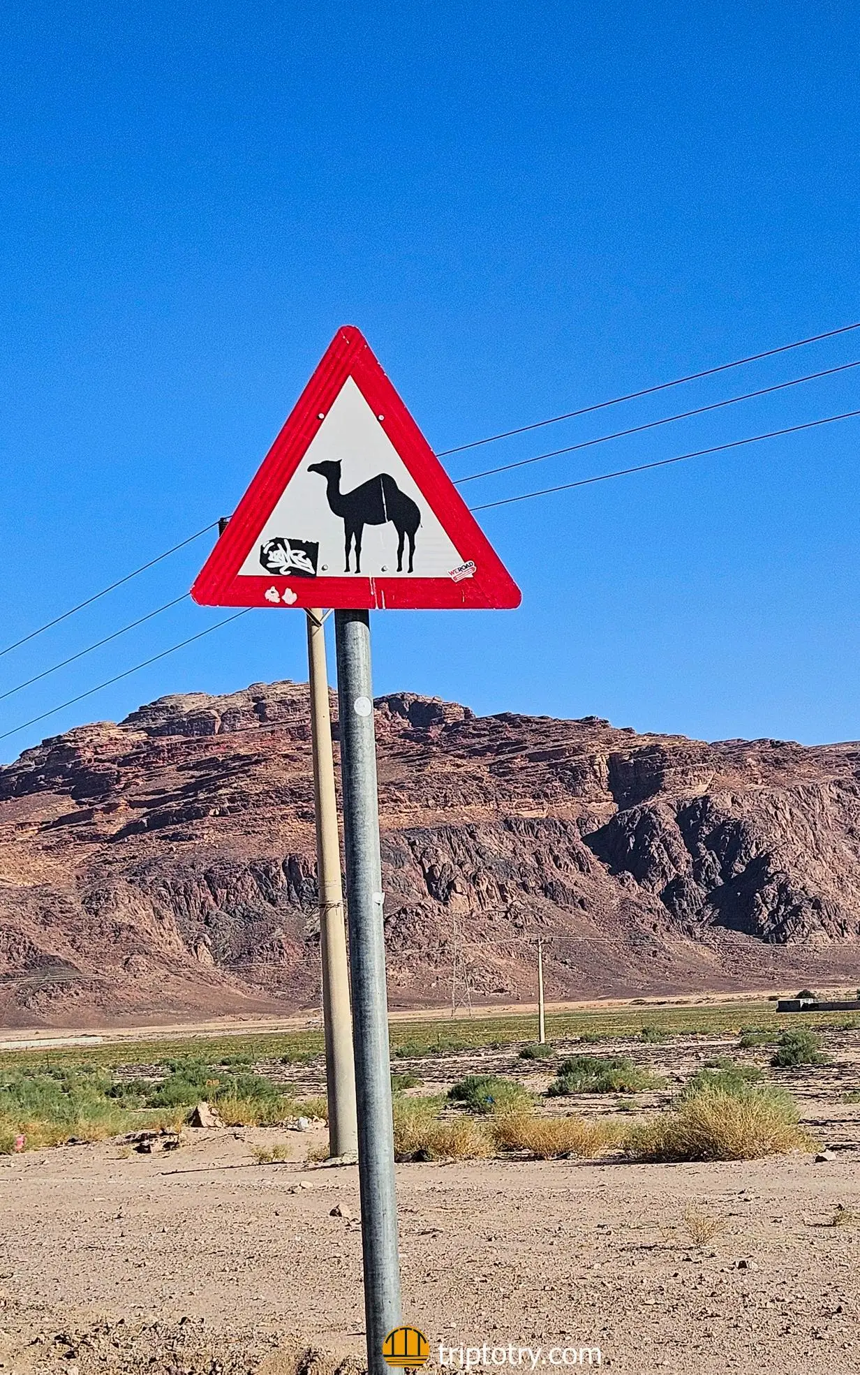 Viaggio in Giordania fai da te - cartello attenzione cammello deserto