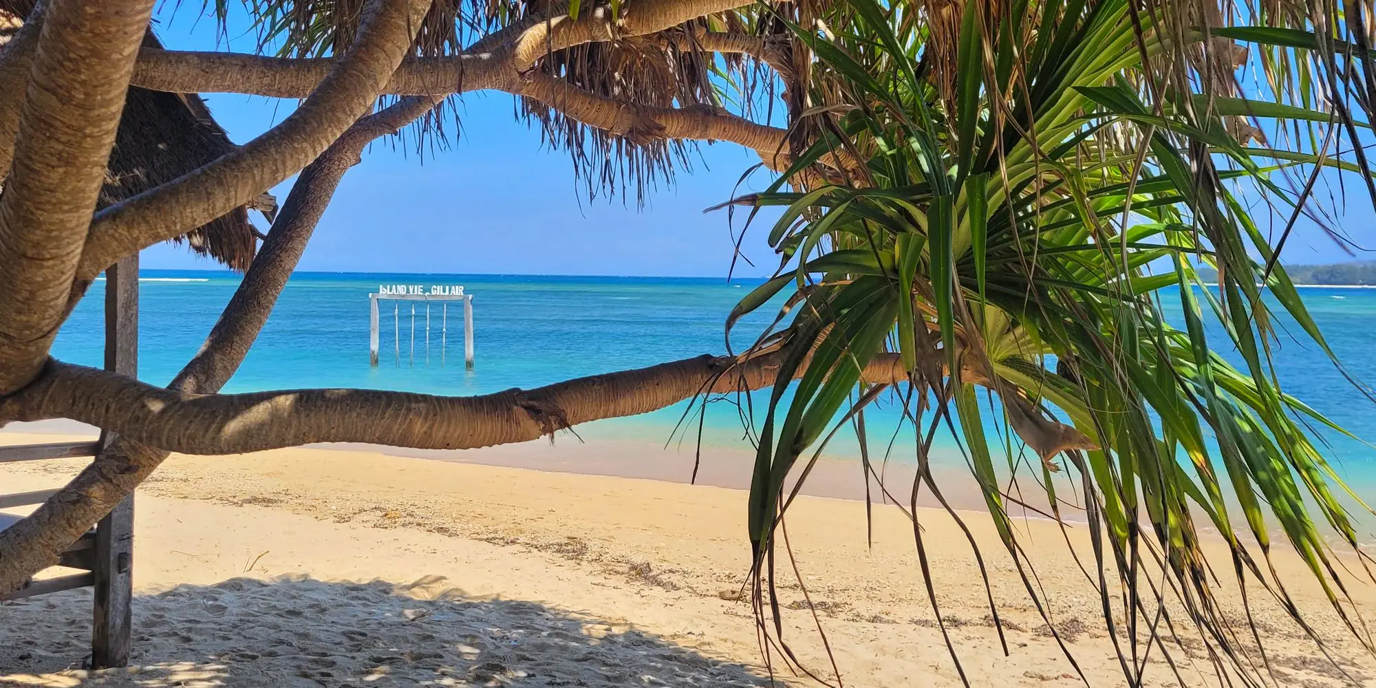 Isole Gili quale scegliere? Spiaggia di sabbia bianca con palma e altalena sul mare dell'isola Gili in indonesia - the best gili island to visit