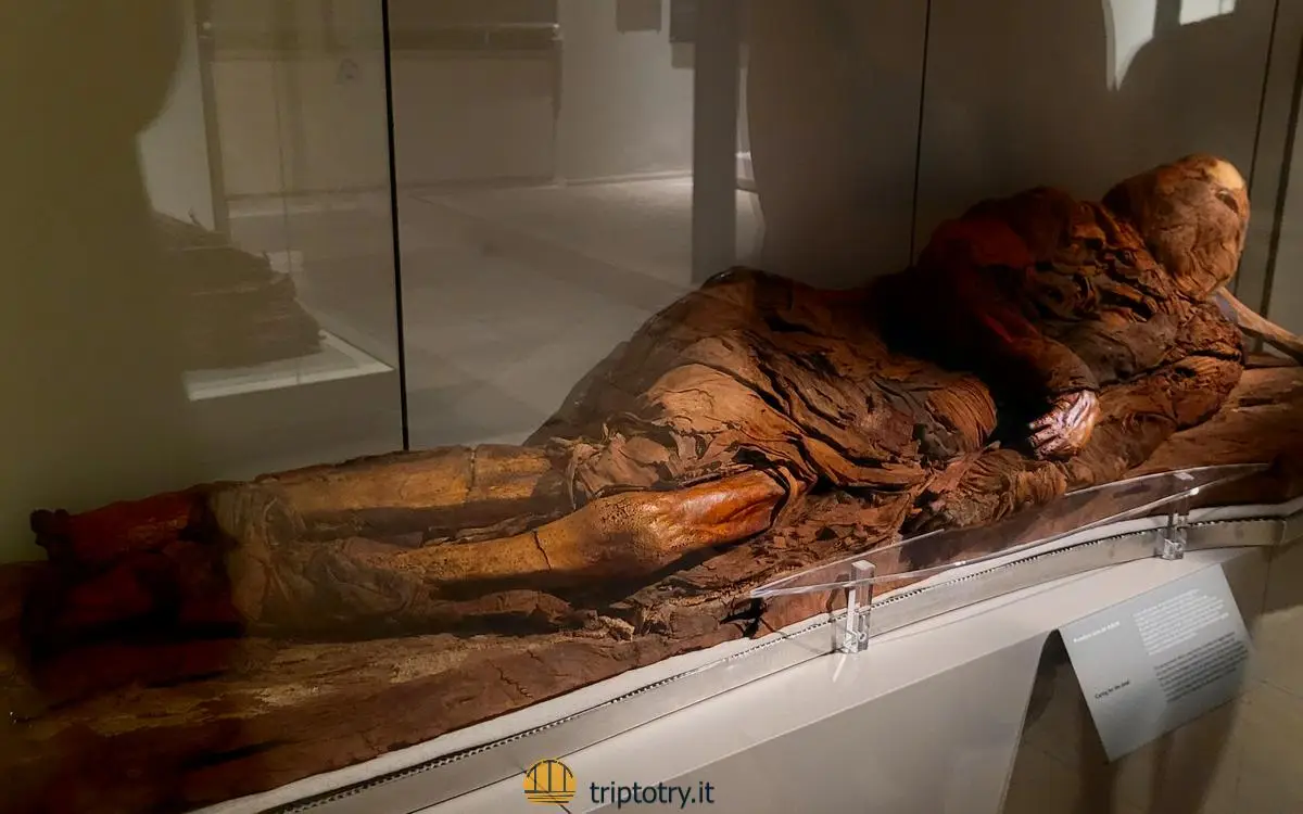 Informazioni sul Museo Egizio di Torino - Una mummia umana perfettamente conservata esposta al Museo Egizio di Torino
