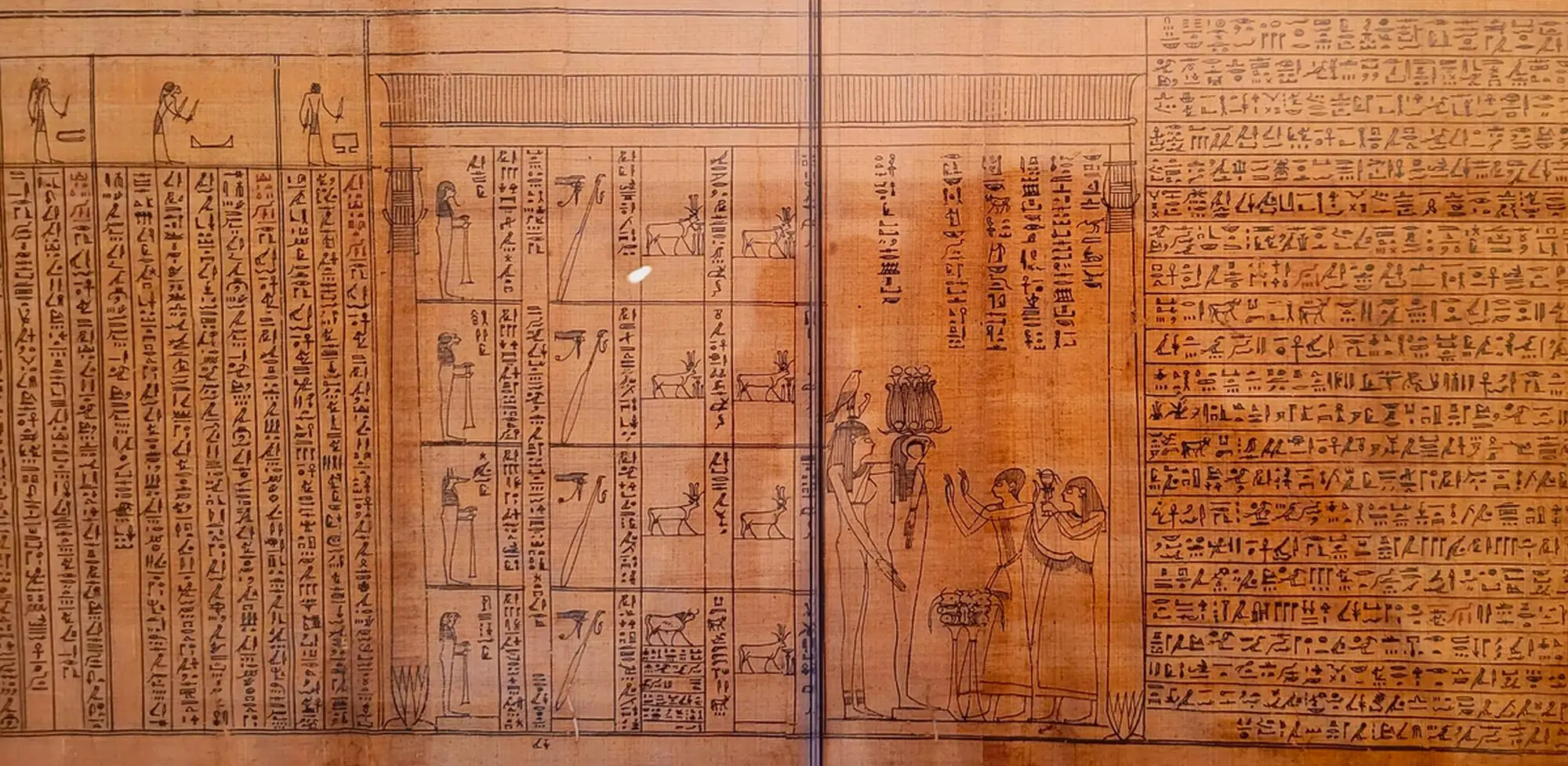 Informazioni sul Museo Egizio di Torino - Un particolare di un papiro egizio molto dettagliato conservato al Museo Egizio di Torino