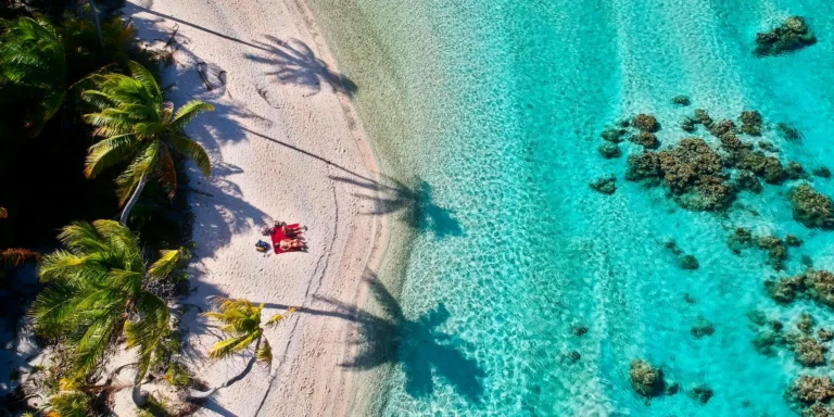 Polinesia Francese fai da te - Spiaggia di sabbia bianca e acqua trasparente con palme a Tikehau in Polinesia Francese - planning a trip to French Polynesia
