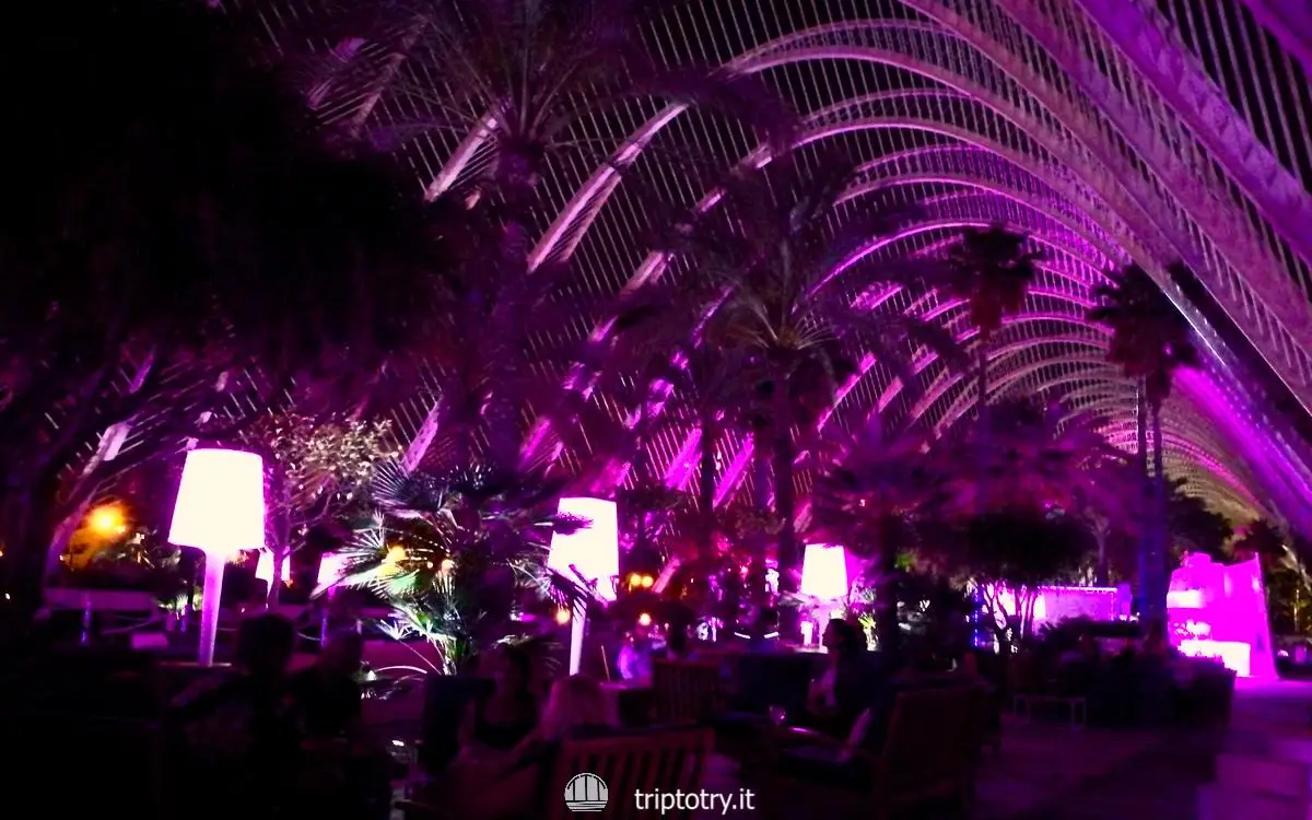 Cose da fare a Valencia - VALENCIA DI NOTTE E UMBRACLE - L'Umbracle di Valencia diventa una discoteca all'aperto di notte