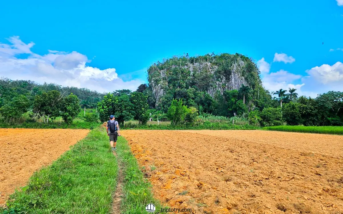 Viaggio a Cuba fai da te: montagne nella valle di Vinales