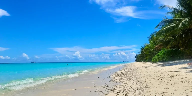 Isola di Dhigurah Maldive - bikini beach sull'isola di Dhigurah con palme verdi