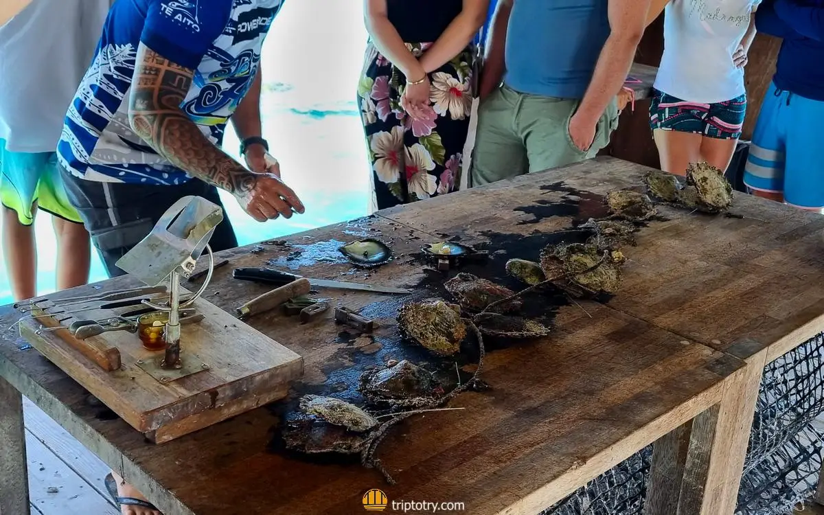 Cosa fare a Bora Bora: fabbrica di perle nere