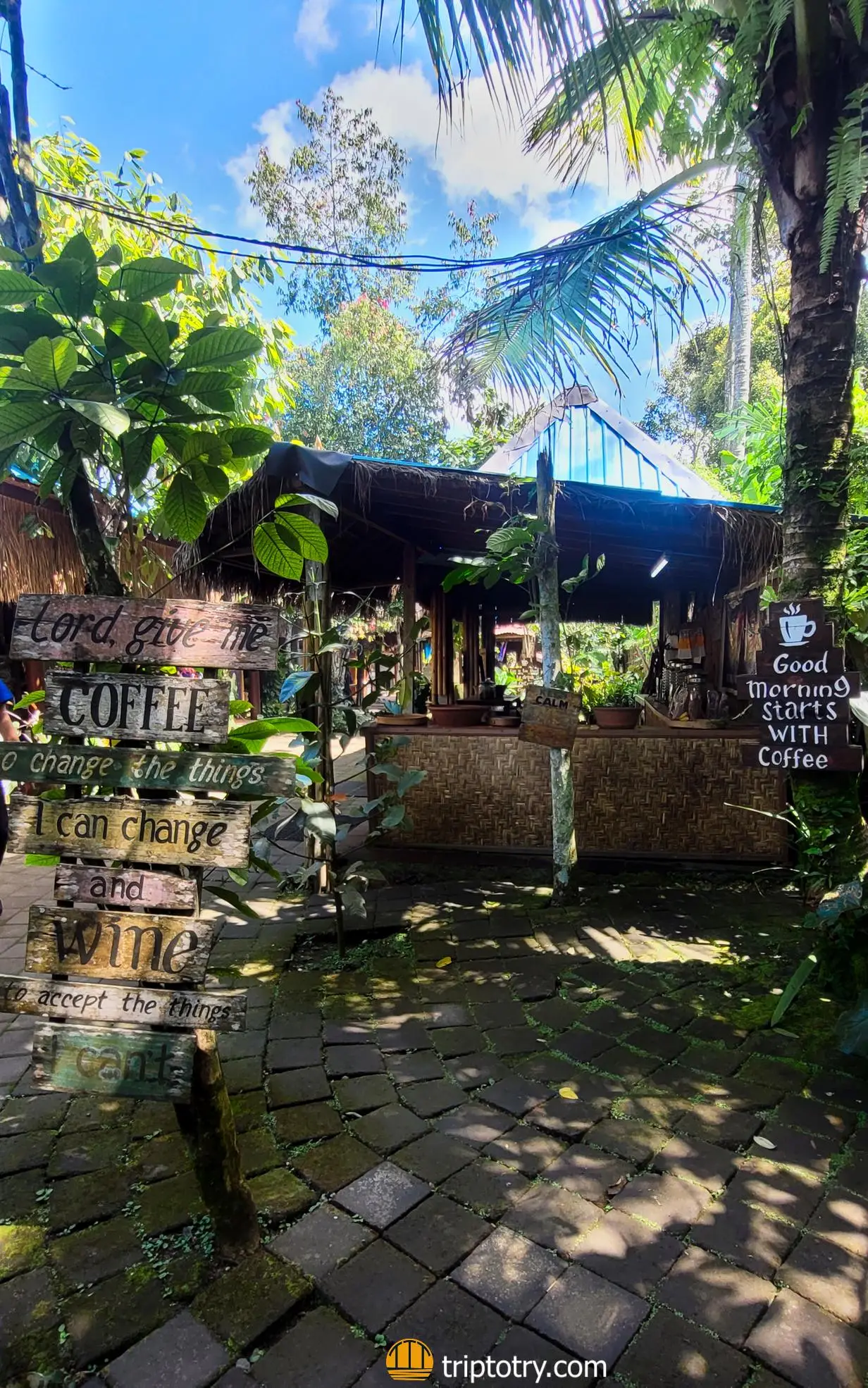 Itinerario Bali 7 giorni - piantagione di caffè Segara Windu