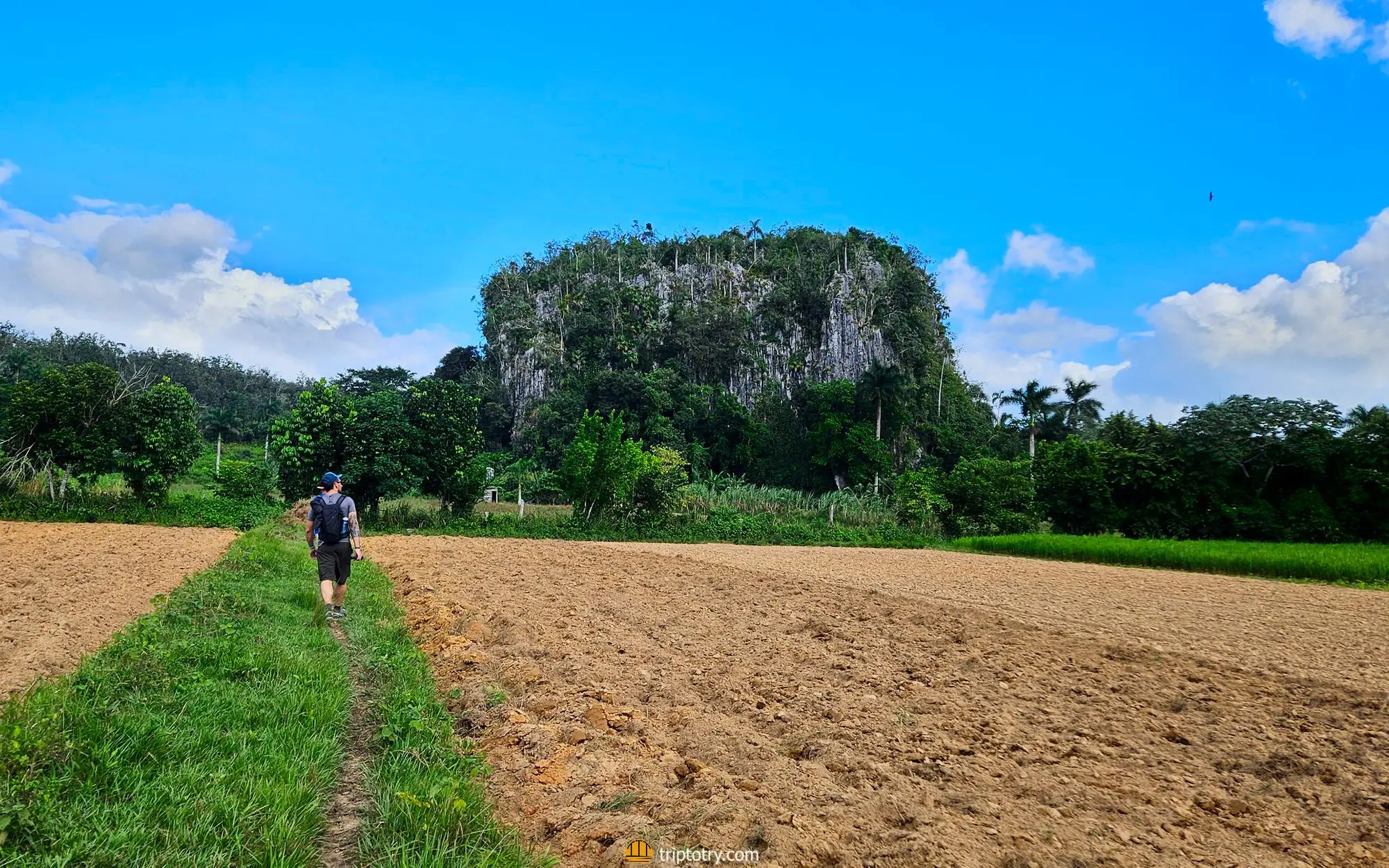 Itinerario di 10 giorni a Cuba: valle di Vinales