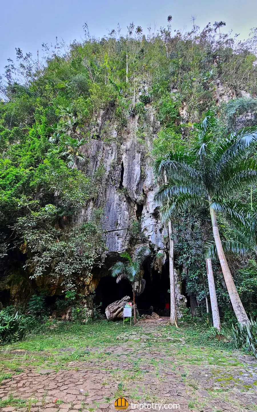 Itinerario di 10 giorni a Cuba: cueva de San Miguel