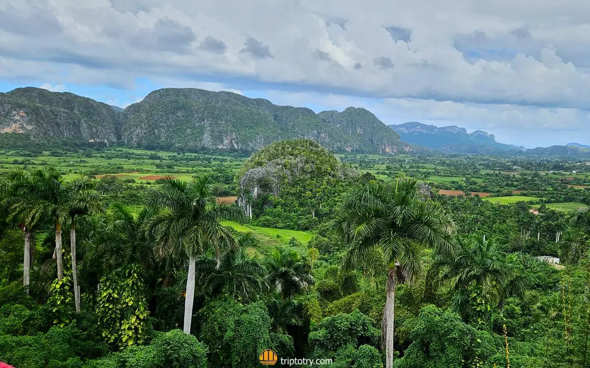 Itinerario di 10 giorni a Cuba: vista su Vinales dal Mirador