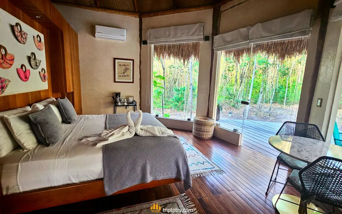 Glass-windowed bungalow in the Yucatan jungle, sleeping in the jungle is an experience to do on a 14-day Yucatan itinerary