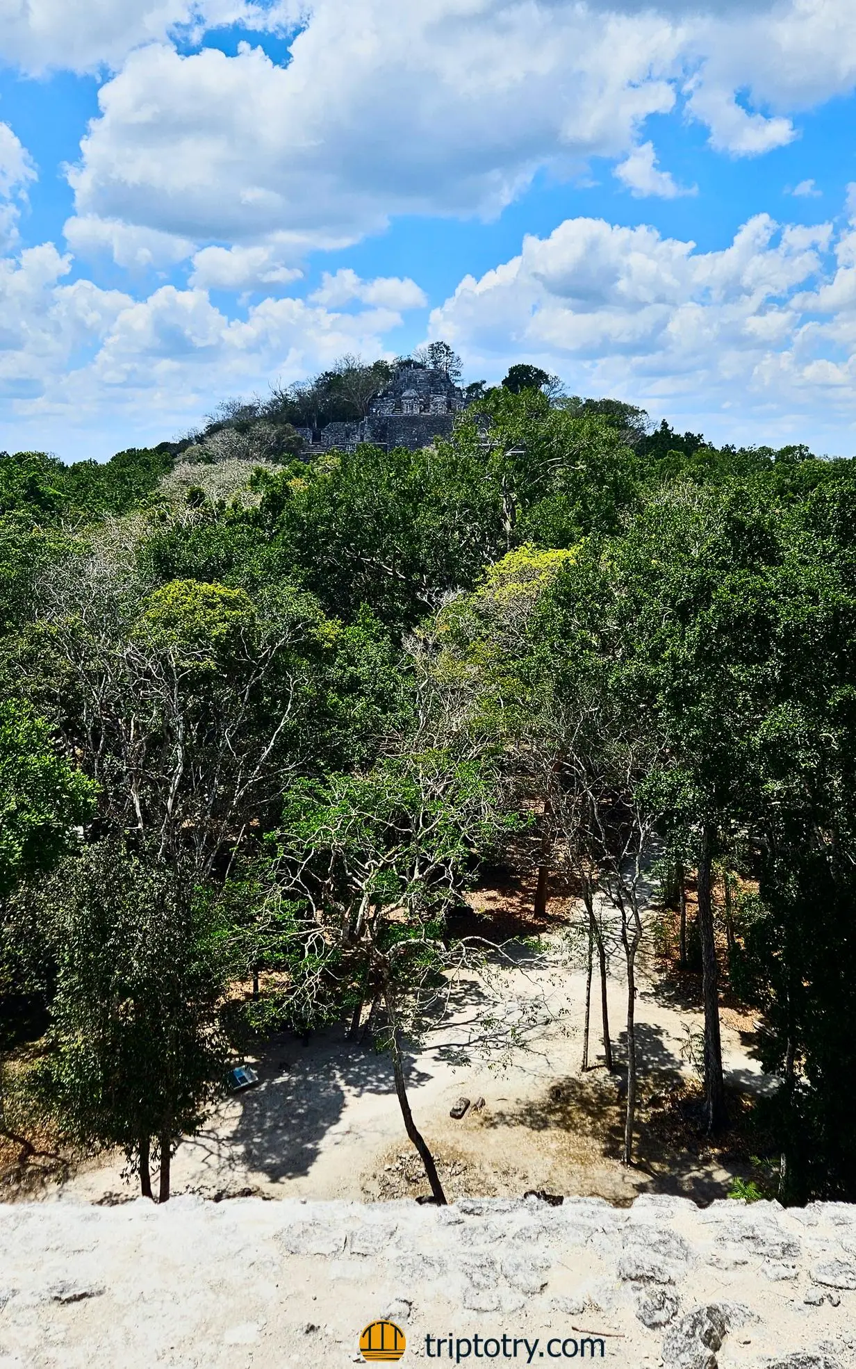 View from the top of one of the Mayan pyramids of the archaeological site in the Calakmul reserve in Yucatan