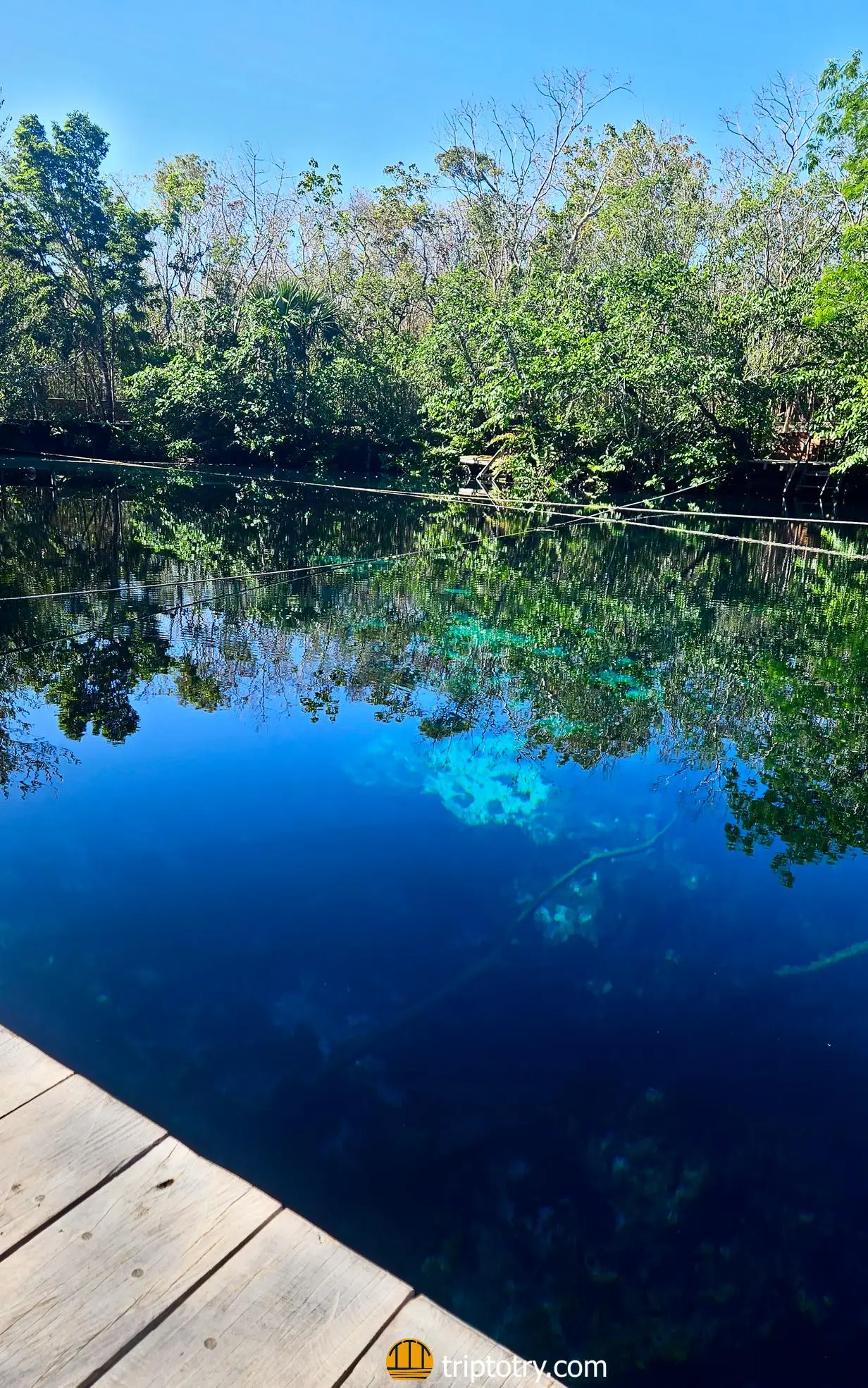cenote car wash near Tulum in Yucatan, where you can snorkel and dive