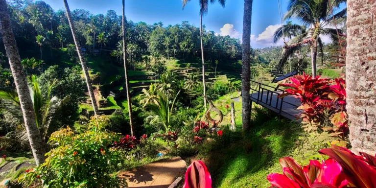 Ubud a Bali cosa vedere -Risaie Bali verdi a terrazza sulle montagne di Bali in Indonesia - 5 day bali itinerary