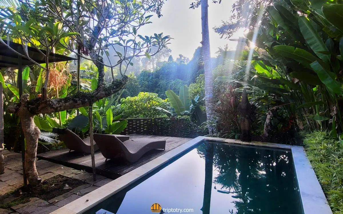 Villa con piscina a Ubud: dove dormire a Bali