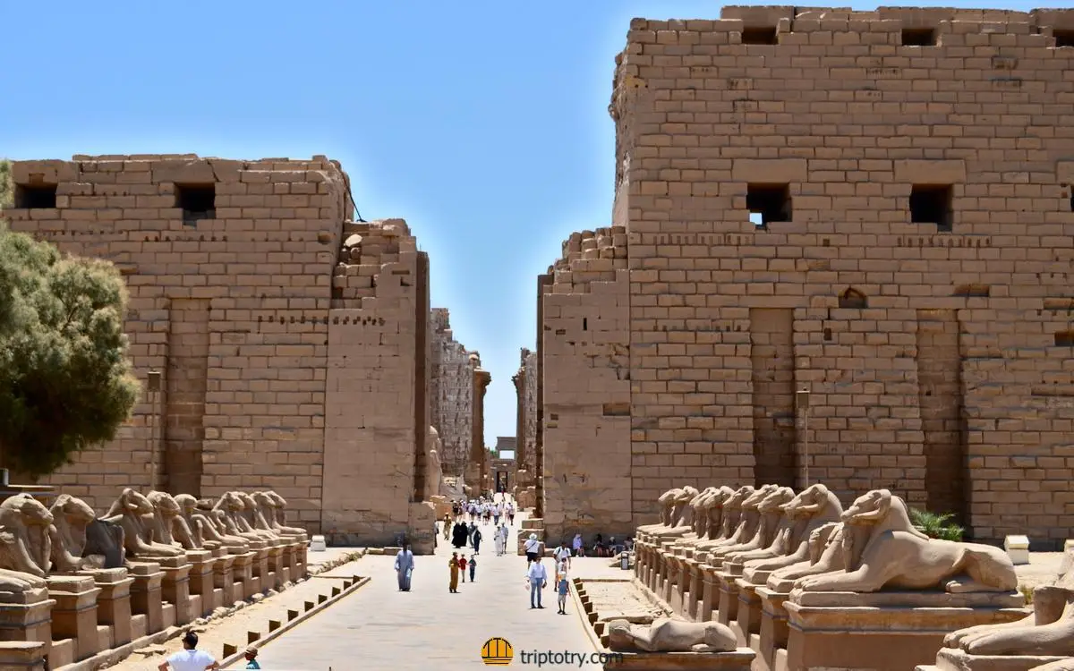 Itinerario Egitto 7 giorni - viale degli arieti nel tempio di Karnak a Luxor