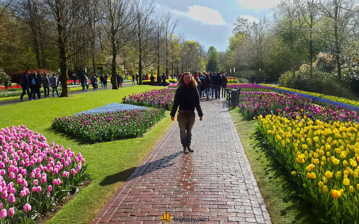 Keukenhof parco dei tulipani Amsterdam - passeggiata nel parco Keukenhof Amsterdam in mezzo alle aiuole fiorite