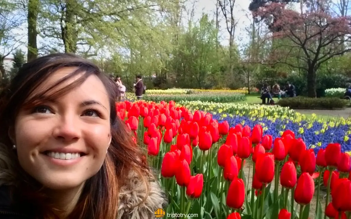 Keukenhof parco dei tulipani Amsterdam - Fioritura dei tulipani in Olanda al parco Keukenhof