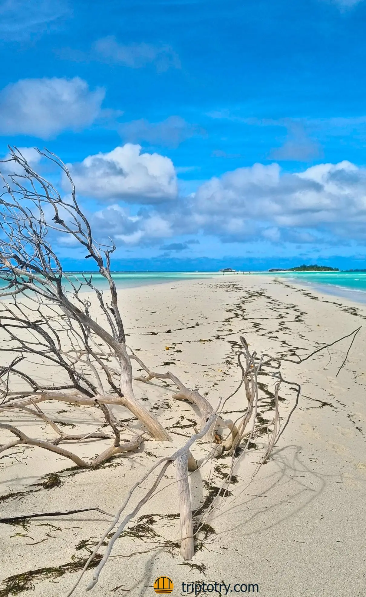 Viaggio alle Maldive fai da te - sand bank di sabbia bianca nel mare azzurro delle Maldive - Maldives diy travel