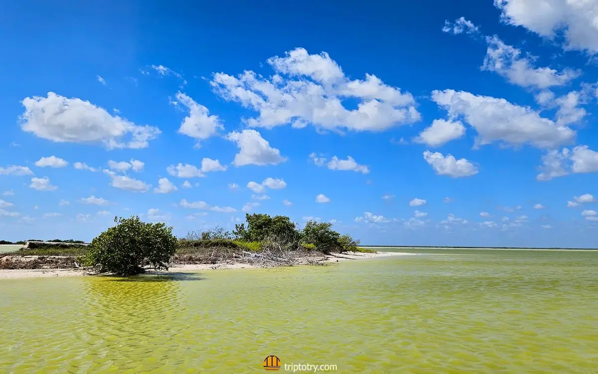 Riserva della biosfera di Rio Lagartos