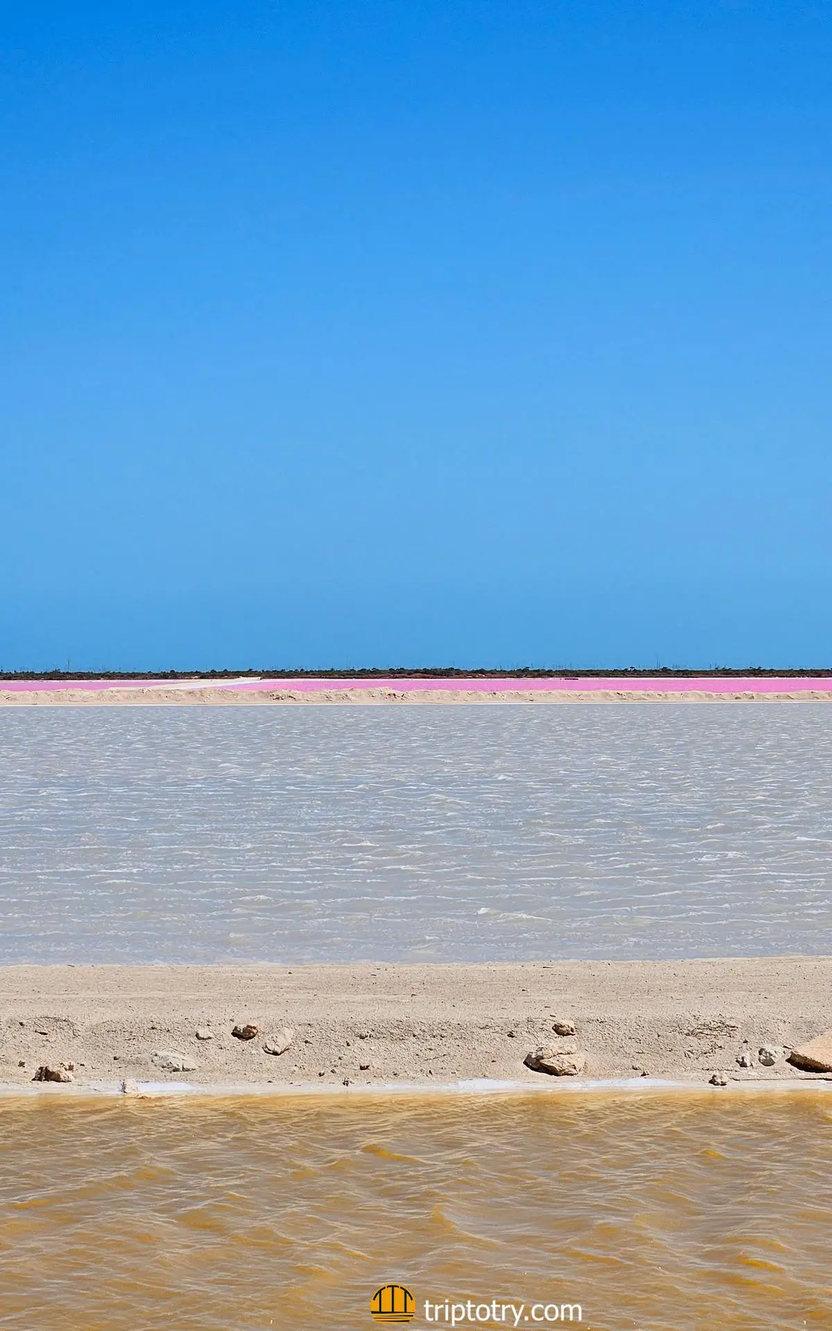 Saline Las Coloradas al Rio Lagartos in Messico: l'acqua ha varie sfumature di colore, bianco, marrone e rosa
