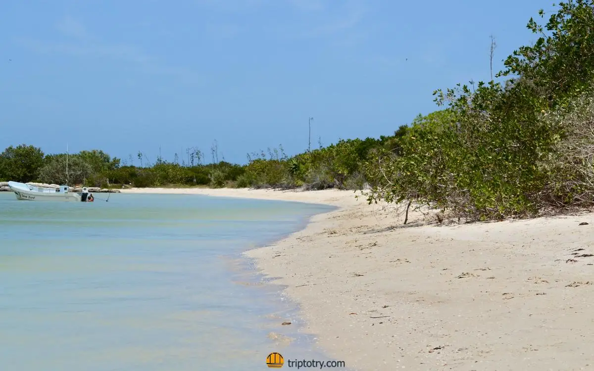 Spiaggia naturale dove fare il bagno a Rio Lagartos