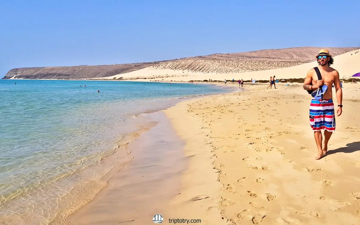 Le spiagge di Fuerteventura da vedere - La Playa de Sotavento - Fuerteventura top beaches