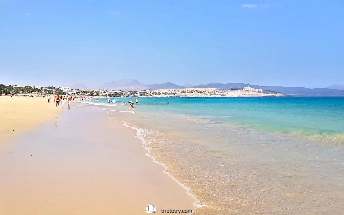 Le migliori spiagge di Fuerteventura da vedere - Playa de Costa Calma - Fuerteventura top beaches