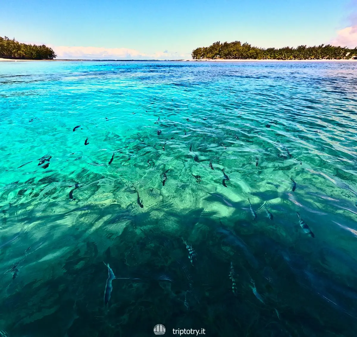 Il mare Blue Bay per fare snorkeling a Mauritius