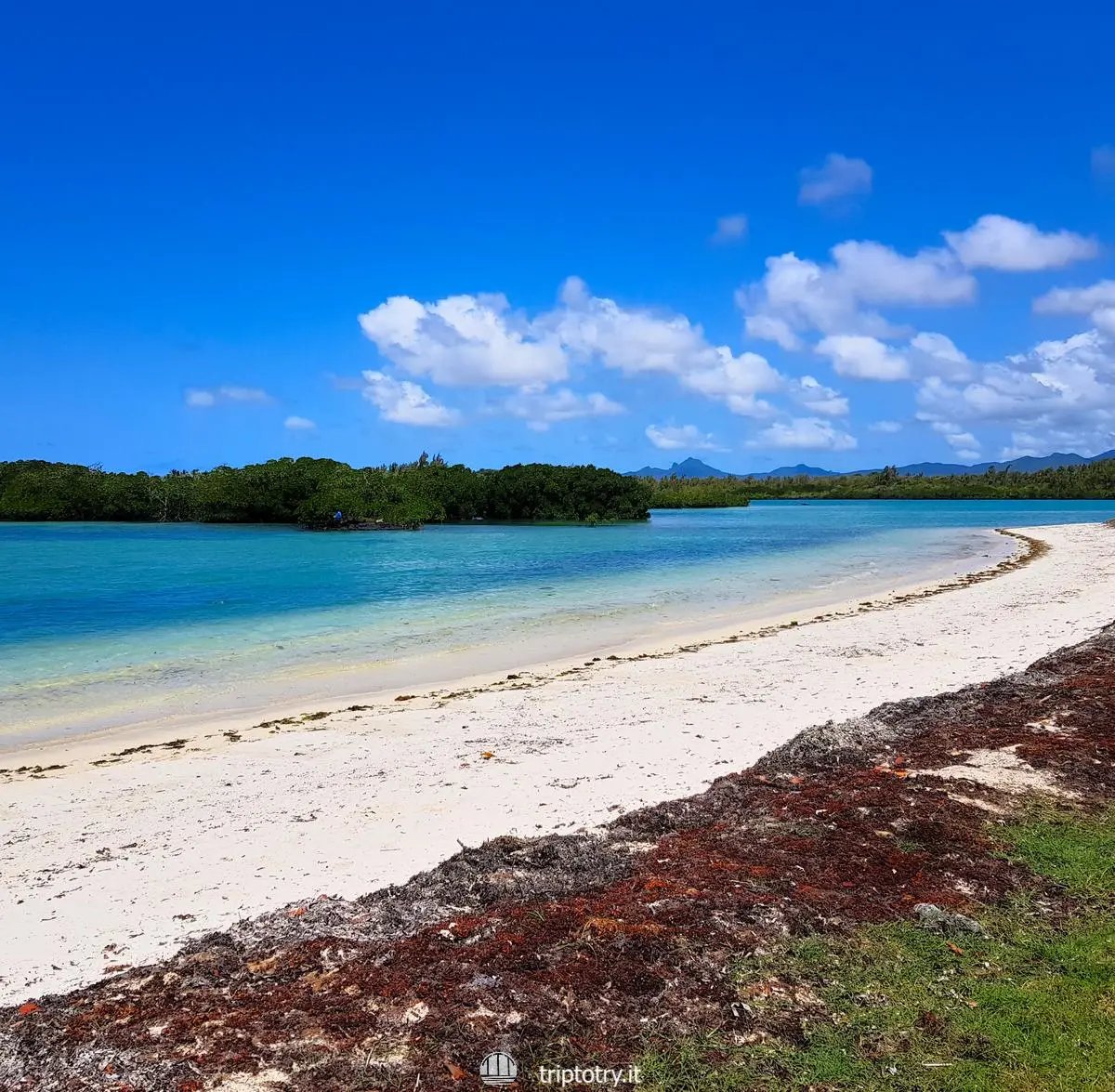 Migliori spiagge Mauritius - Mangrovie spiaggia bianca e mare azzurro alla Spiaggia di Bras d'eau a Mauritius - Best beaches in Mauritius