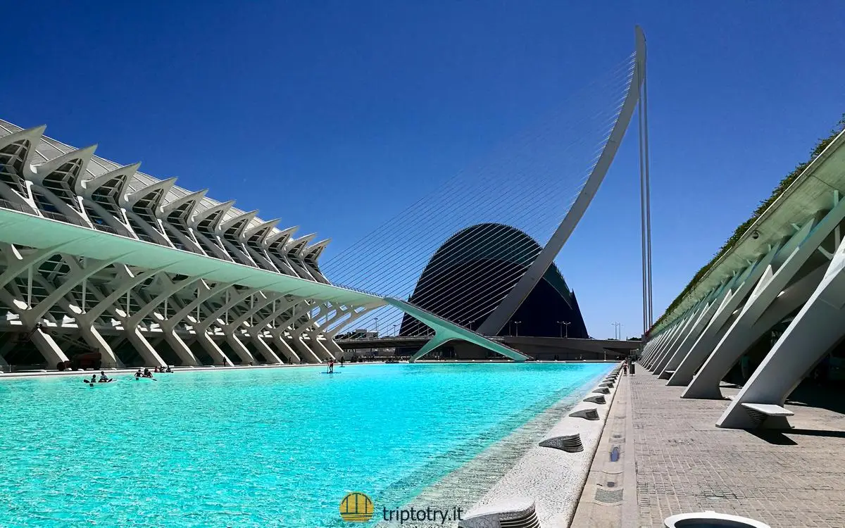 Cose da fare a Valencia - Gli edifici moderni della Città delle Arti e delle Scienze di Valencia