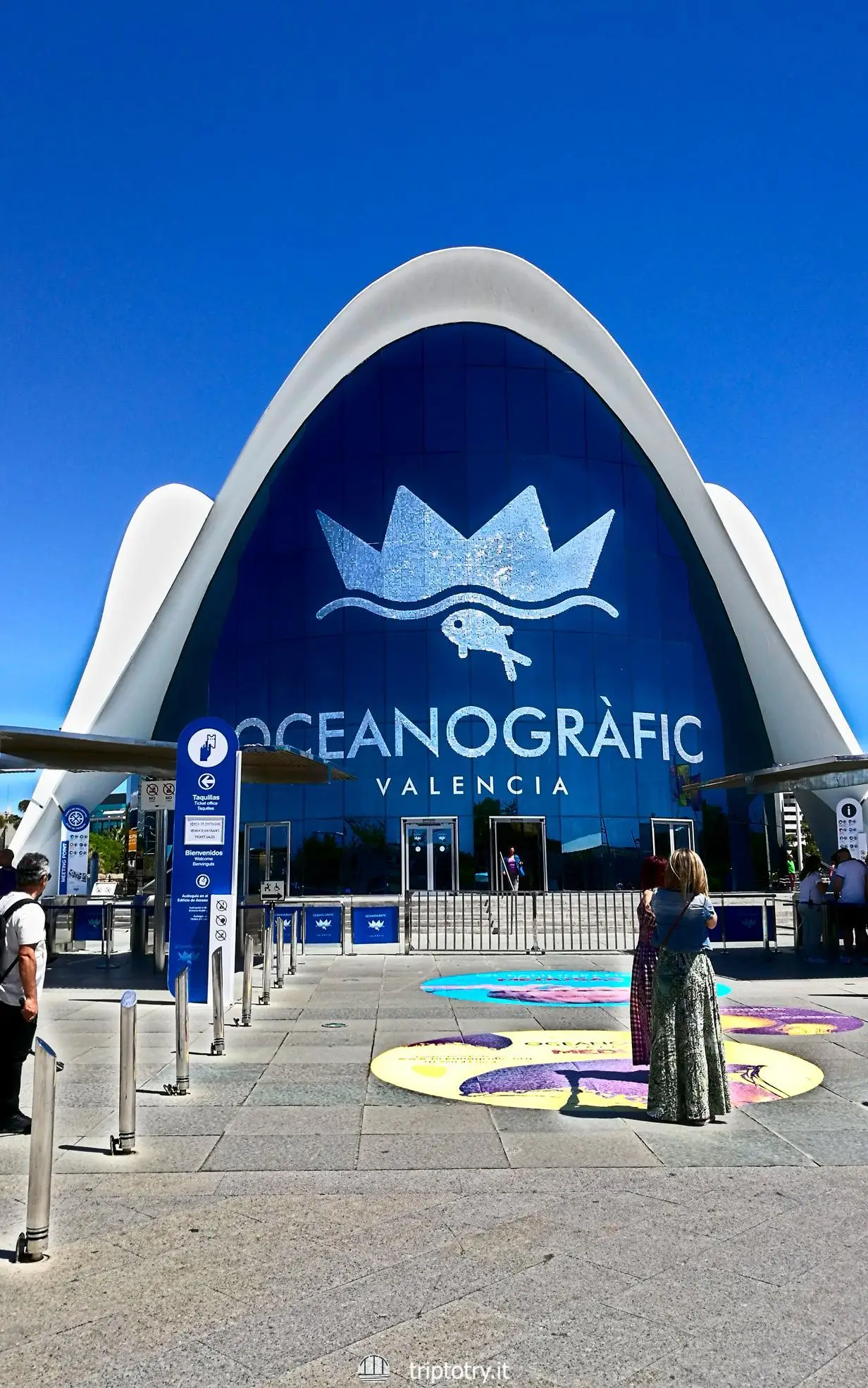 Cose da fare a Valencia - L'acquario blu e moderno dell'Oceanogràfic di Valencia