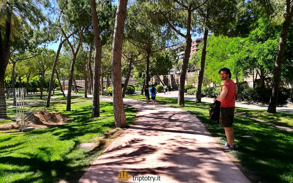 Cose da fare a Valencia - Passeggiata nel parco verde del Jardin de Turia a Valencia