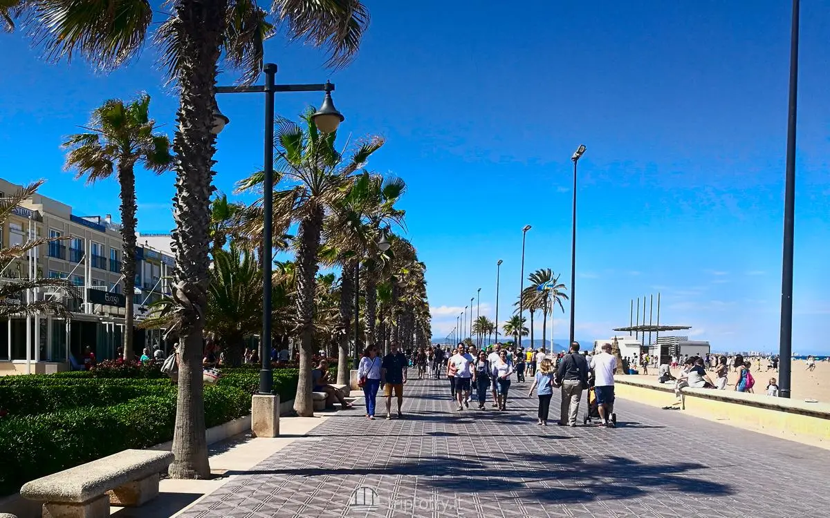 Cose da fare a Valencia - Le palme e il sole del lungomare della spiaggia di Malvarrosa a Valencia